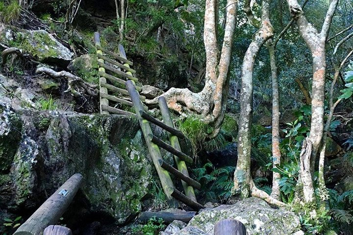Skeleton Gorge Hike for Morning - Photo 1 of 17